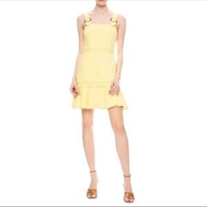 Jonathan Simkhai Clara Mini Dress size 8 NWT